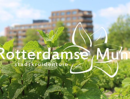 Stichting Rotterdamse Munt